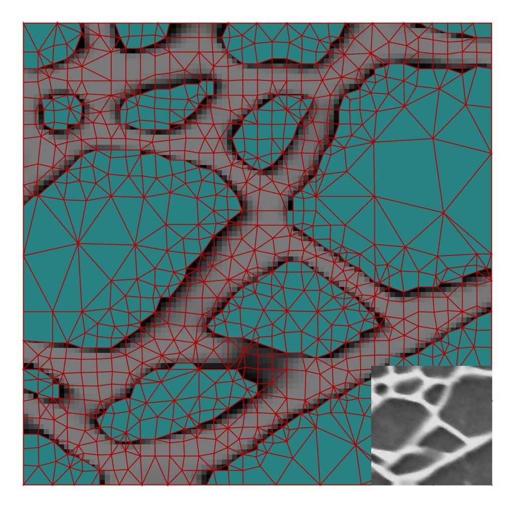 Software; Math; Computer Science (5941074396).jpg